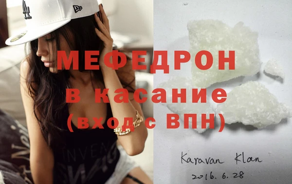 хмурый Аркадак