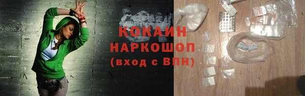 хмурый Аркадак