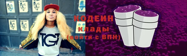 хмурый Аркадак