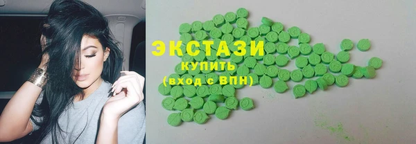 хмурый Аркадак