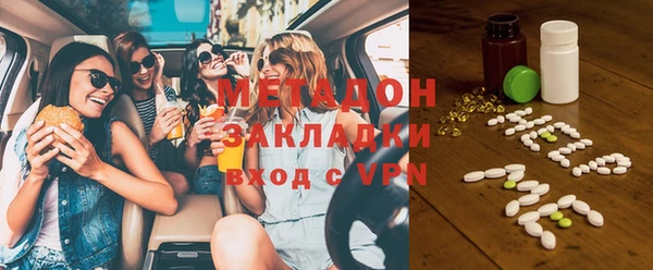 хмурый Аркадак